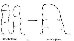 Gambar 4. Perubahan struktur protein akibat denaturasi (Campbell et al., 2002) 