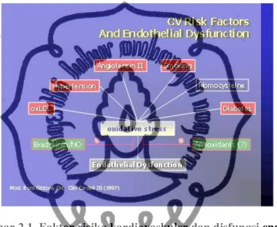 Gambar 2.1. Faktor risiko kardiovaskuler dan disfungsi endotel.               (dikutip dari Bambang, 2012 modifikasi dari Gibbons, 1997)
