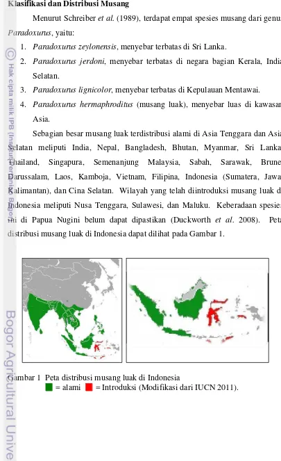 Gambar 1  Peta distribusi musang luak di Indonesia  