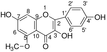 Gambar 4.4 Senyawa hasil isolasi (flavonol) 