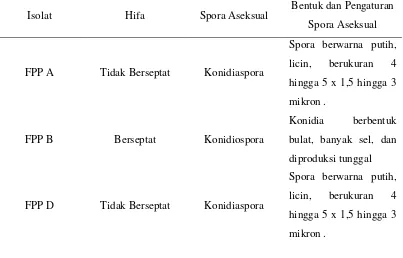 Tabel 3 Hasil Karakterisasi Mikroskopis Jamur Pelapuk Kayu Pinus  (Hutahean, 2011) 