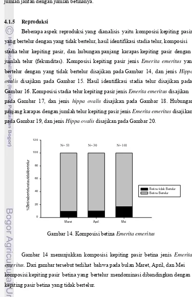 Gambar  14  menunjukkan  komposisi  kepiting  pasir  betina  jenis  Emerita