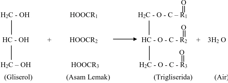 Gambar 2.  Reaksi Pembentukan Trigliserida dari Gliserol dan Asam Lemak 