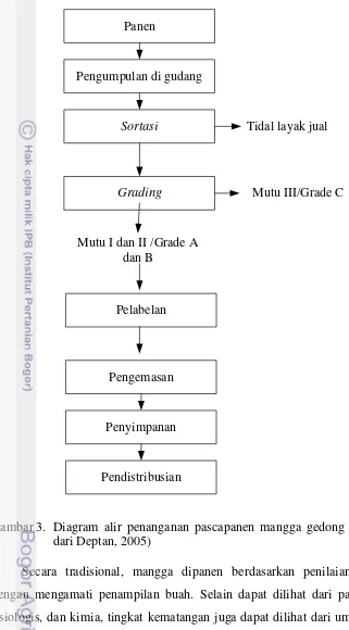 Gambar 3.  Diagram alir penanganan pascapanen mangga gedong gincu (diolah 