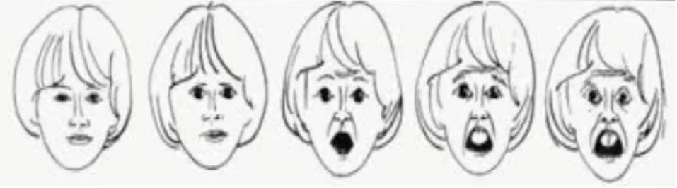 Gambar 2.5 Facial Image Scale, Score 1– 5 