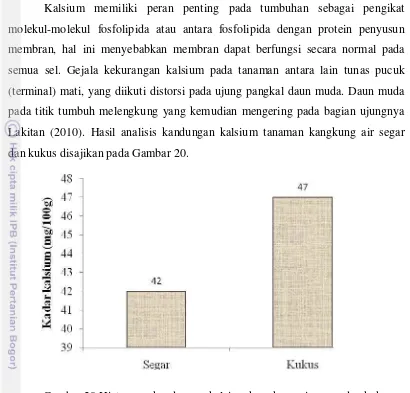 Gambar 20 Histogram kandungan kalsium kangkung air segar dan kukus 