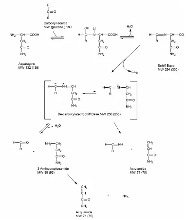 Gambar 9 Pembentukan akrilamid melalui jalur reaksi Maillard (Zyzak et.al.2003) 