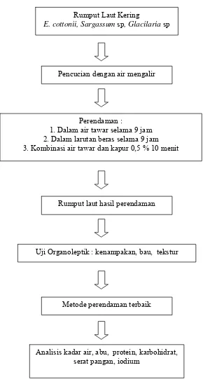 Gambar 4.  Diagram Alir Proses Penelitian Tahap 1.  