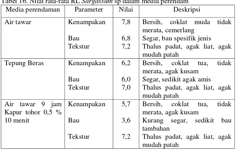Tabel 16. Nilai rata-rata RL Sargassum sp dalam media perendam 
