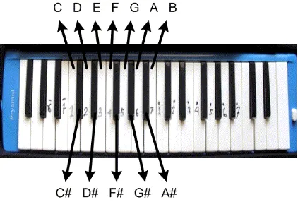 Gambar 1. Nada-nada C, C#, D, D#, E, F, F#, G, G#, A, A#, dan B yang dikenali pada pianika (Surya, 2012)