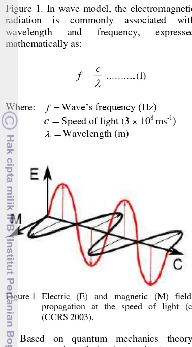 Figure 1. In wave model, the electromagnetic 