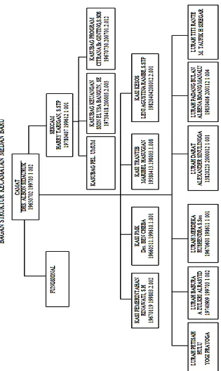Tabel III.8 Struktur Kecamatan Medan Baru (data  di peroleh dari Kantor Kecamatan Medan Baru, Tanggal 14 Februari 