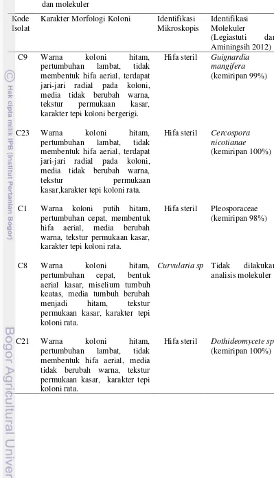 Tabel  4.   Identifikasi cendawan endofit potensial berdasarkan karakter morfologi dan molekuler 