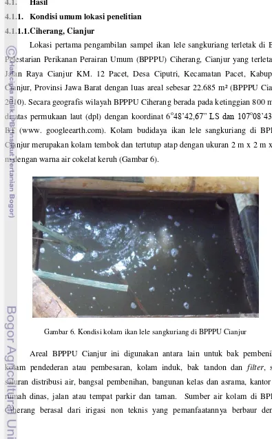 Gambar 6. Kondisi kolam ikan lele sangkuriang di BPPPU Cianjur 