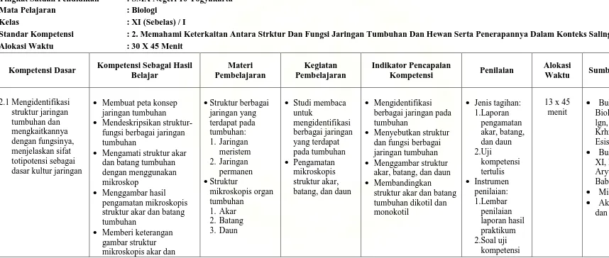 gambar struktur  mikroskopis akar dan 