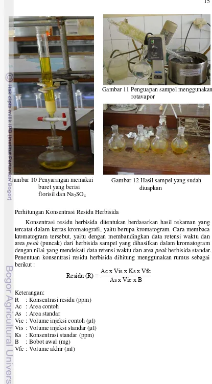 Gambar 11 Penguapan sampel menggunakan  