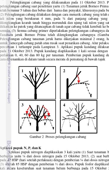 Gambar 2  Proses pelengkungan cabang 
