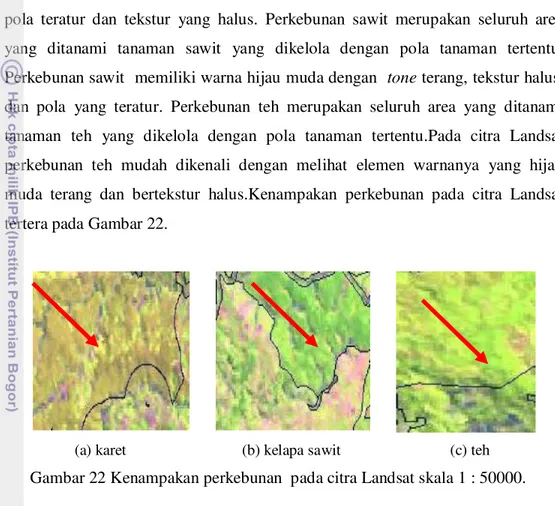 Gambar 22 Kenampakan perkebunan  pada citra Landsat skala 1 : 50000.     