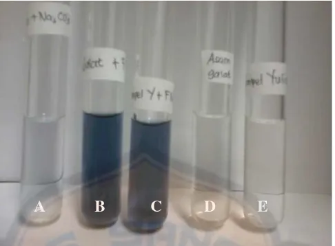 Gambar 2. Hasil uji pendahuluan fenolik (A = larutan blanko [air:metanol + Folin 