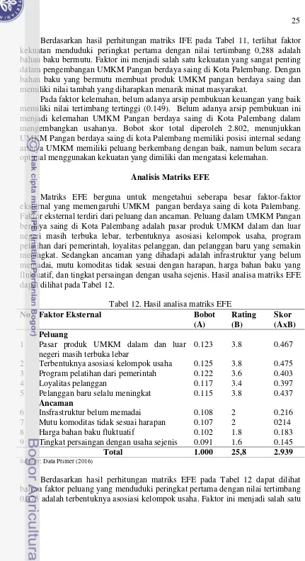 Tabel 12. Hasil analisa matriks EFE  