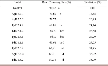 Tabel 4. Persentase daun terserang Xav yang diintroduksi dengan beberapa isolat bakteri endofit indigenus (66 hsi)