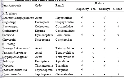 Tabel 1Jenis artopod fitofag dan predator yang ditemukan pada habitat di luar 