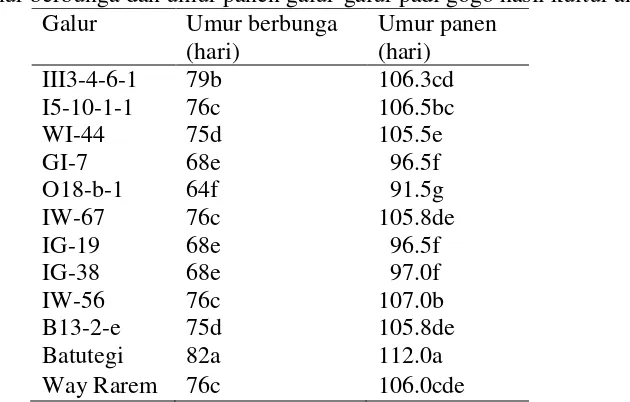 Tabel 7  Panjang malai, jumlah gabah isi/malai, jumlah gabah hampa/malai,    dan jumlah gabah total/malai galur-galur padi gogo hasil kultur antera 
