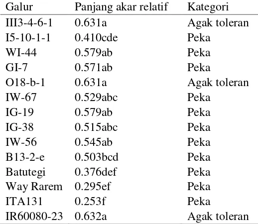 Tabel 19  Panjang akar relatif bibit umur 14 hari dalam media hara dan       pengelompokan toleransi galur-galur padi gogo hasil kultur antera      dalam uji cekaman aluminium 
