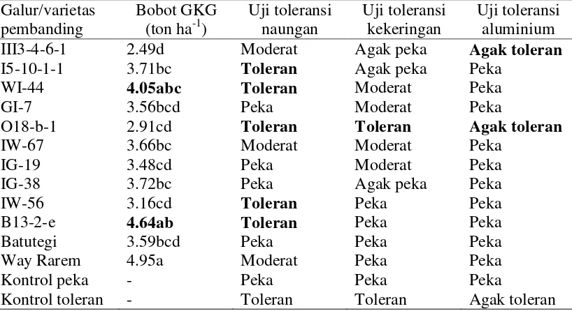 Tabel 20  Rekapitulasi bobot gabah kering giling (GKG) dan hasil uji cekaman     abiotik pada galur-galur padi gogo hasil kultur antera 