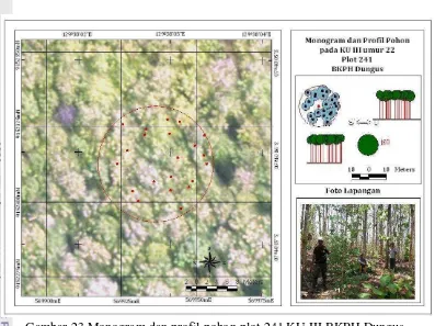 Gambar 24 Monogram dan profil pohon plot 192 KU VI BKPH Dungus. 