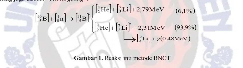 Gambar 1. Reaksi inti metode BNCT 