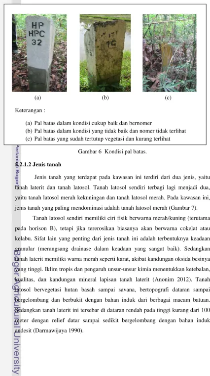 Gambar 6  Kondisi pal batas. 