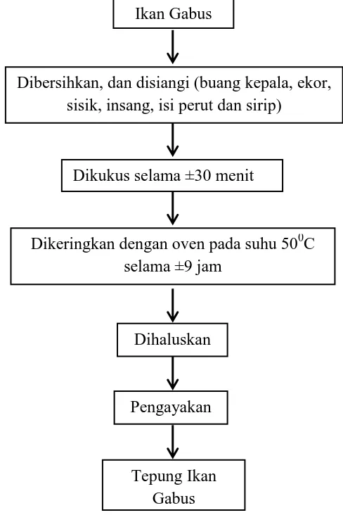 Gambar 3.1. Diagram Alur Pembuatan Tepung Ikan Gabus 