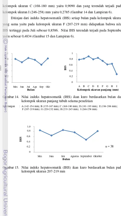 Gambar 14.  Nilai indeks hepatosomatik (IHS) ikan kuro berdasarkan bulan dan 