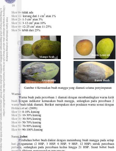 Gambar 4 Kerusakan buah mangga yang diamati selama penyimpanan 