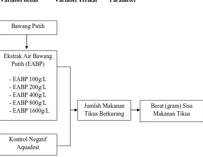 Gambar 1.1Skema kerangka pikir penelitian 