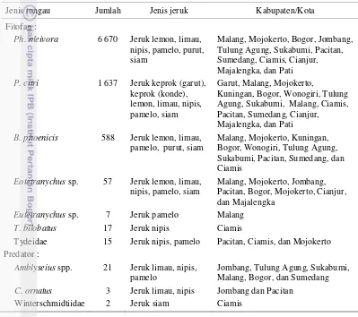 Tabel 2  Kompoisi jenis dan jumlah individu tungau pada berbagai jenis jeruk  di Pulau Jawa 