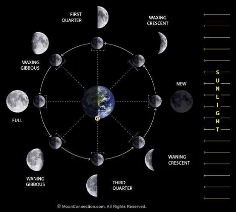 Gambar. 2: Diagram fase Bulan. Sumber gambar: MoonConnection.com