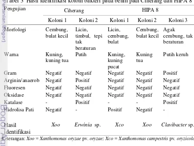 Tabel 3  Hasil identifikasi koloni bakteri pada benih padi Ciherang dan HIPA 8 