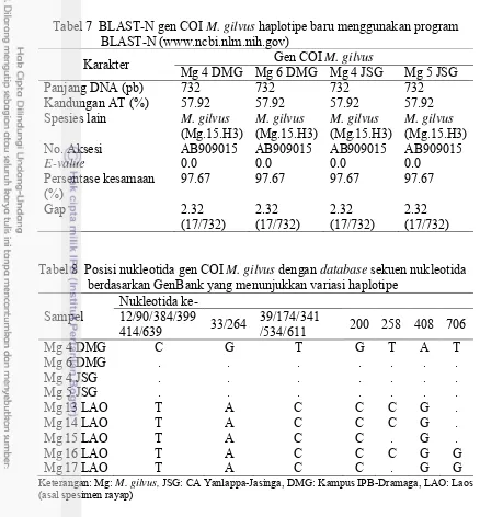 Tabel 7  BLAST-N gen COI M. gilvus haplotipe baru menggunakan program  BLAST-N (www.ncbi.nlm.nih.gov) 
