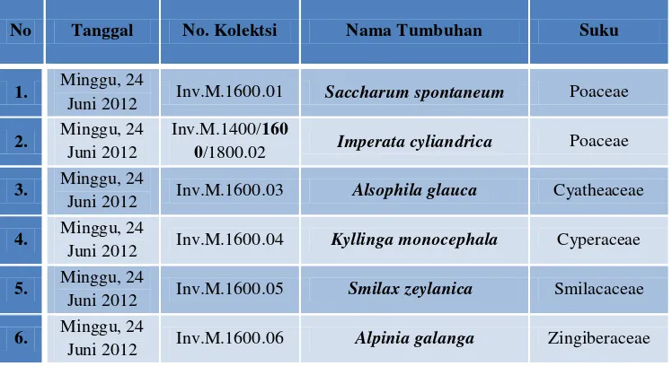 Tabel 4.4tabel sebagai berikut:  Material Koleksi pada Ketinggian 1.600 M.dpl 