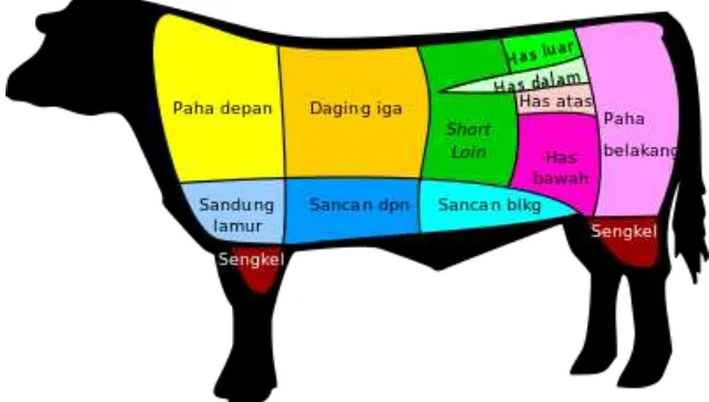 Gambar Potongan Daging Sapi 