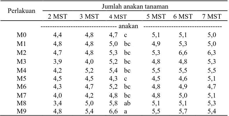 Tabel 3. Jumlah anakan 2-7 MST pada komposisi pemberian abu vulkanik   Gunung Sinabung, arang sekam dan kompos jerami 