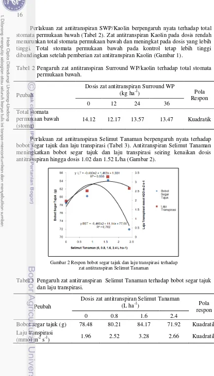 Tabel 2 Pengaruh zat antitranspiran Surround WP/kaolin terhadap total stomata 