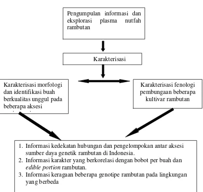 Gambar 1. Bagan alir penelitian Analisis Keragaman dan Keragaan Plasma Nutfah Rambutan di Indonesia