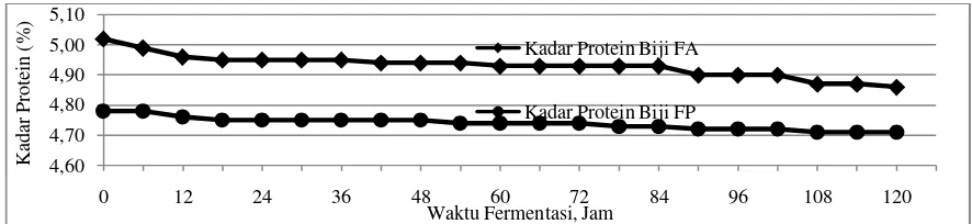Gambar 4. Laju Perubahan Kadar Protein Biji Kakao pada Fermentasi Analog Dan Fermentasi Petani