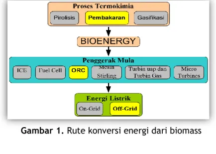 Gambar 1. Rute konversi energi dari biomass 