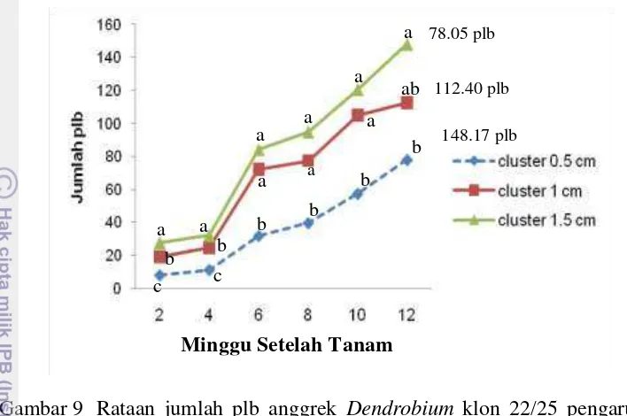 Gambar 9 Rataan jumlah plb anggrek Dendrobium klon 22/25 pengaruh perla-