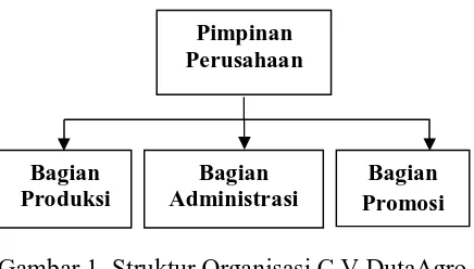 Gambar 1. Struktur Organisasi C.V DutaAgro Lestari 