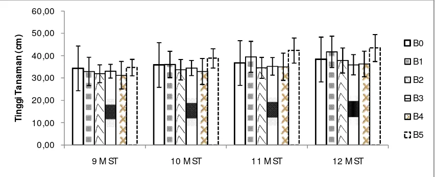 Grafik 1 perlakuan B5 (Tanah+Bo Sampah Kota) memiliki rata-rata lebih tinggi pada semua MST menunjukkan bahwa pengukuran, dan diikuti oleh perlakuan B1 (Tanah +100 mg N, 60 mg P, 
